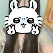 ヒメ日記 2025/12/05 02:35 投稿 いのり ビデオDEはんど 名古屋校