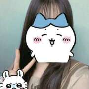 ヒメ日記 2025/12/11 11:15 投稿 いのり ビデオDEはんど 名古屋校