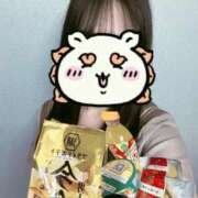 ヒメ日記 2026/01/10 04:45 投稿 いのり ビデオDEはんど 名古屋校