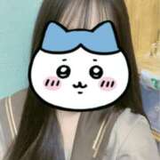 ヒメ日記 2026/04/01 00:55 投稿 いのり ビデオDEはんど 名古屋校