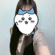 ヒメ日記 2026/04/15 01:15 投稿 いのり ビデオDEはんど 名古屋校