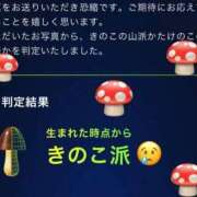 ヒメ日記 2026/04/20 23:15 投稿 いのり ビデオDEはんど 名古屋校