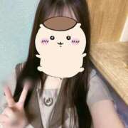 ヒメ日記 2026/04/30 00:55 投稿 いのり ビデオDEはんど 名古屋校