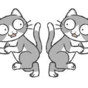 ヒメ日記 2025/03/12 17:18 投稿 なるみ 熟女の風俗最終章 蒲田店