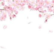 ヒメ日記 2025/04/05 11:44 投稿 なるみ 熟女の風俗最終章 蒲田店