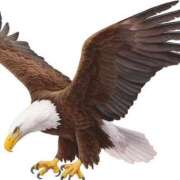 ヒメ日記 2025/11/12 10:30 投稿 なるみ 熟女の風俗最終章 蒲田店