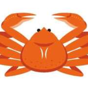 ヒメ日記 2025/11/25 19:50 投稿 なるみ 熟女の風俗最終章 蒲田店