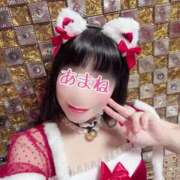 ヒメ日記 2024/12/16 07:44 投稿 あまね 桃李（とうり）