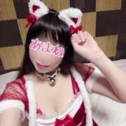 ヒメ日記 2024/12/25 17:04 投稿 あまね 桃李（とうり）