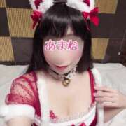 ヒメ日記 2024/12/26 21:24 投稿 あまね 桃李（とうり）