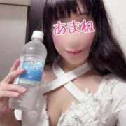 ヒメ日記 2024/12/27 20:54 投稿 あまね 桃李（とうり）