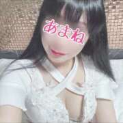 ヒメ日記 2024/12/27 21:49 投稿 あまね 桃李（とうり）