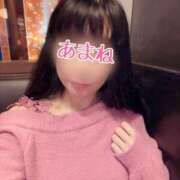 ヒメ日記 2025/01/03 17:14 投稿 あまね 桃李（とうり）