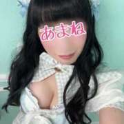 ヒメ日記 2025/01/28 11:16 投稿 あまね 桃李（とうり）