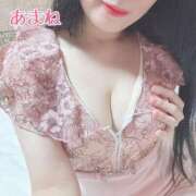 ヒメ日記 2025/02/01 20:08 投稿 あまね 桃李（とうり）