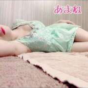 ヒメ日記 2025/02/05 09:44 投稿 あまね 桃李（とうり）