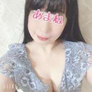 ヒメ日記 2025/02/08 05:34 投稿 あまね 桃李（とうり）