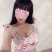 ヒメ日記 2025/02/13 07:24 投稿 あまね 桃李（とうり）