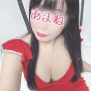 ヒメ日記 2025/02/17 00:14 投稿 あまね 桃李（とうり）