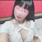 ヒメ日記 2025/02/18 07:24 投稿 あまね 桃李（とうり）