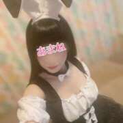 ヒメ日記 2025/02/19 07:14 投稿 あまね 桃李（とうり）