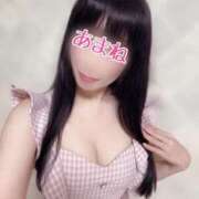 ヒメ日記 2025/02/19 09:44 投稿 あまね 桃李（とうり）