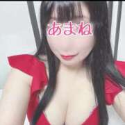 ヒメ日記 2025/02/20 07:44 投稿 あまね 桃李（とうり）