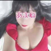 ヒメ日記 2025/02/25 09:34 投稿 あまね 桃李（とうり）