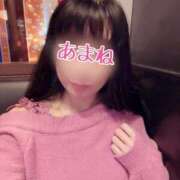 ヒメ日記 2025/02/25 11:47 投稿 あまね 桃李（とうり）