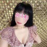 ヒメ日記 2025/03/06 00:24 投稿 あまね 桃李（とうり）