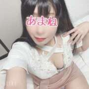 ヒメ日記 2025/03/10 07:32 投稿 あまね 桃李（とうり）