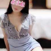 ヒメ日記 2025/03/10 13:34 投稿 あまね 桃李（とうり）