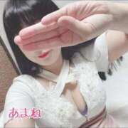 ヒメ日記 2025/03/13 10:49 投稿 あまね 桃李（とうり）