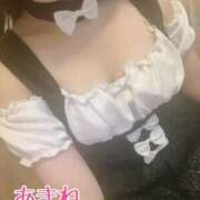 ヒメ日記 2025/03/14 07:25 投稿 あまね 桃李（とうり）