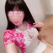 ヒメ日記 2025/03/15 20:44 投稿 あまね 桃李（とうり）