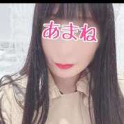 ヒメ日記 2025/03/18 07:34 投稿 あまね 桃李（とうり）