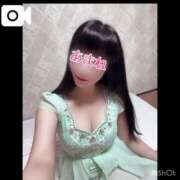 ヒメ日記 2025/03/24 15:26 投稿 あまね 桃李（とうり）