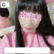 ヒメ日記 2025/03/25 07:24 投稿 あまね 桃李（とうり）