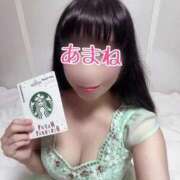 ヒメ日記 2025/03/25 17:44 投稿 あまね 桃李（とうり）