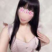 ヒメ日記 2025/03/29 21:24 投稿 あまね 桃李（とうり）