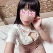 ヒメ日記 2025/04/02 13:44 投稿 あまね 桃李（とうり）