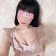 ヒメ日記 2025/04/03 13:44 投稿 あまね 桃李（とうり）