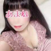 ヒメ日記 2025/04/07 07:14 投稿 あまね 桃李（とうり）