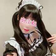 ヒメ日記 2025/04/10 07:44 投稿 あまね 桃李（とうり）