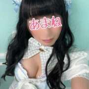 ヒメ日記 2025/04/14 07:34 投稿 あまね 桃李（とうり）