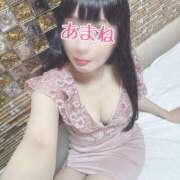 ヒメ日記 2025/04/15 07:24 投稿 あまね 桃李（とうり）