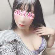 ヒメ日記 2025/04/23 11:44 投稿 あまね 桃李（とうり）