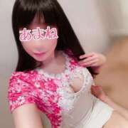 ヒメ日記 2025/04/28 07:44 投稿 あまね 桃李（とうり）