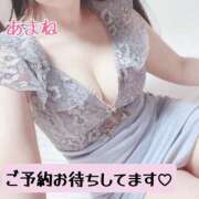 ヒメ日記 2025/05/02 08:24 投稿 あまね 桃李（とうり）