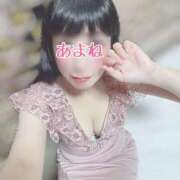 ヒメ日記 2025/05/07 07:40 投稿 あまね 桃李（とうり）